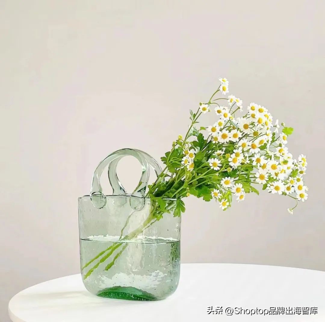 颠覆传统审美的包包花瓶在TikTok上斩获千万*放播**