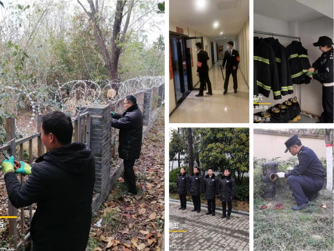 春天藏在温暖的阳光里,春天藏在生活里