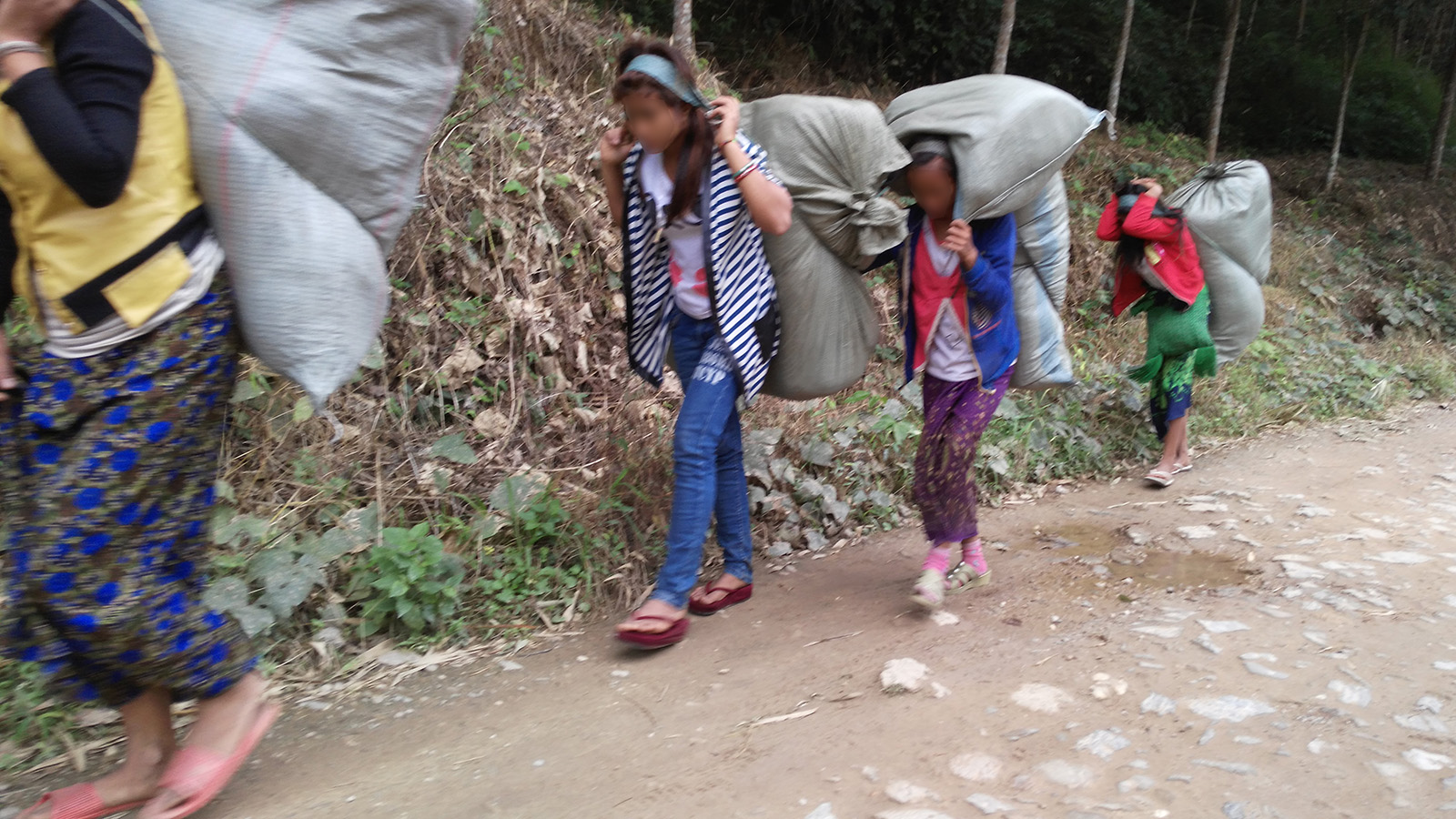 初哥视频,初哥徒步走西藏