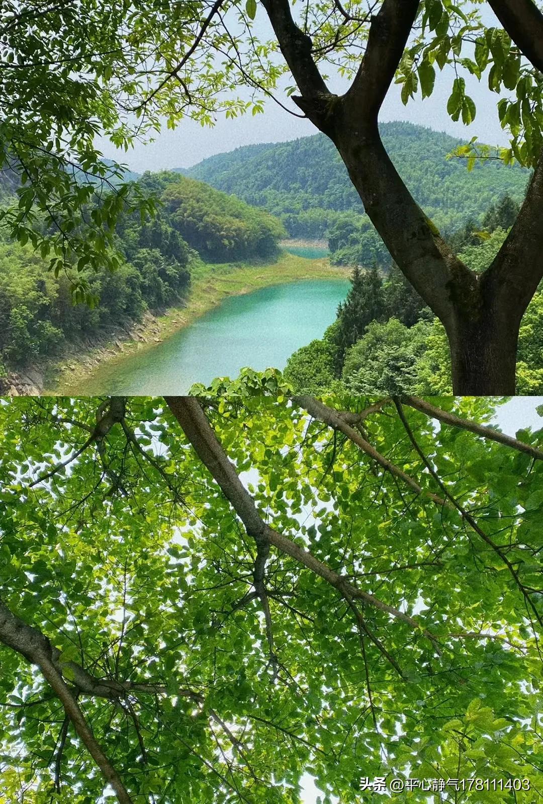 怎么制作漂亮的书签,怎么制作漂亮的手机壳