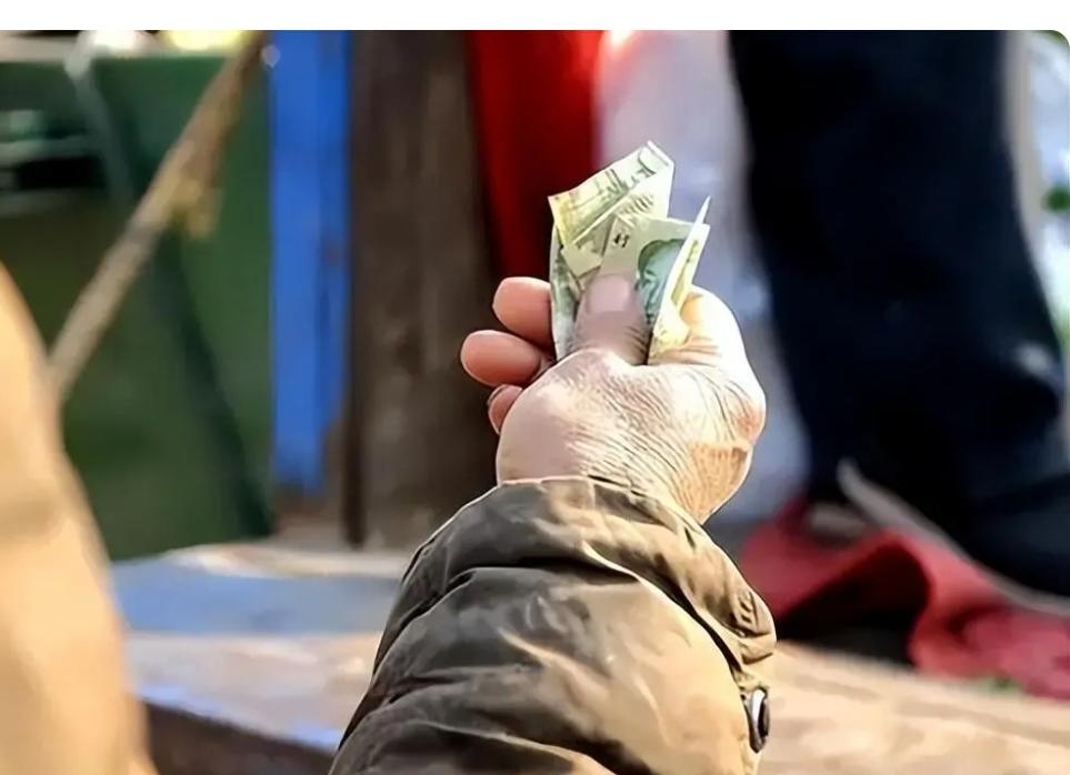 大爷卖蔬菜被罚款,老汉卖菜获利14元罚款10万