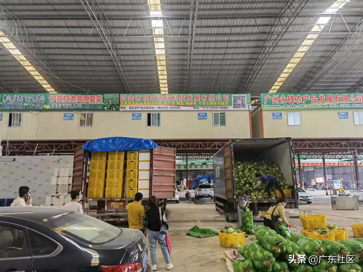 河南一周已售出4677吨滞销蔬菜,大量销售新鲜蔬菜