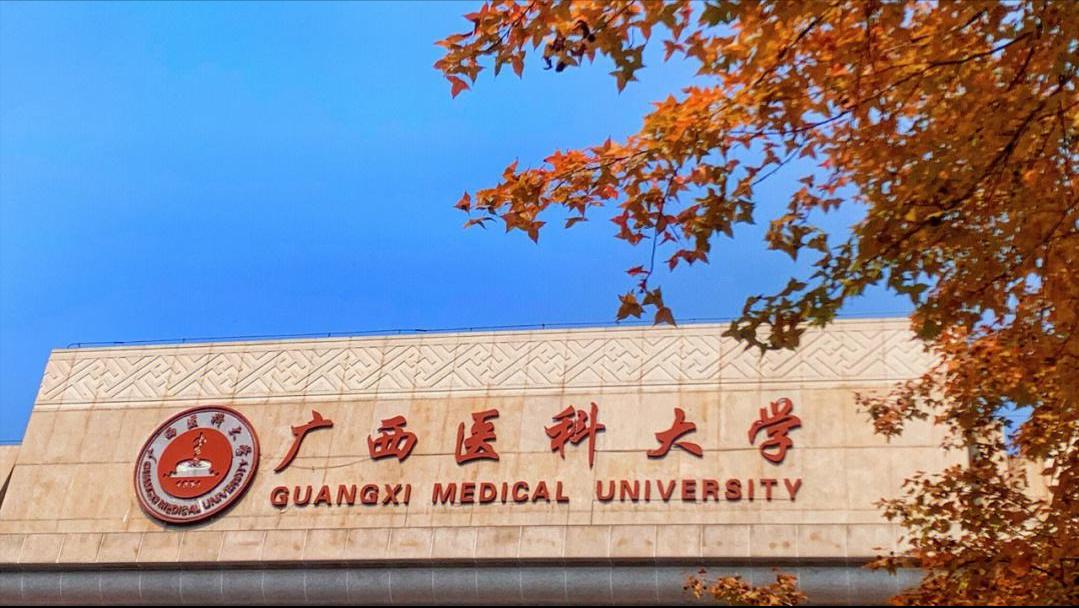 广西医科大学在全国什么档次,广西医科大学算名牌大学吗