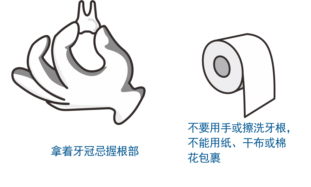 牙齿磕掉怎么判断伤到牙神经,牙齿不小心磕松怎么能恢复