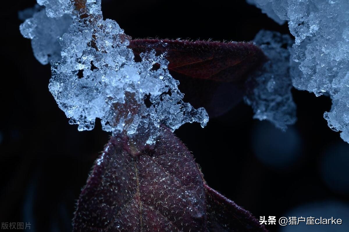 松下s5与尼康z5哪款好,松下s5和z6ii哪个好