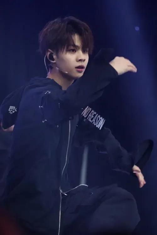 好看的下饭综艺搞笑,好看的下饭综艺国内搞笑