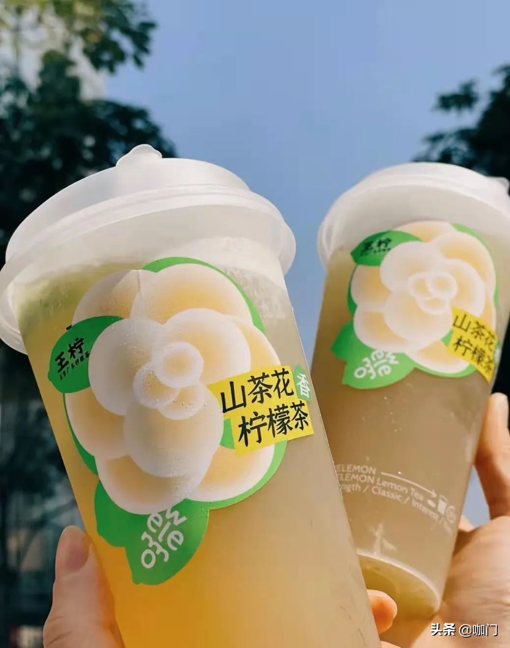 书亦烧仙草山茶花会回归吗,书亦烧仙草山茶花奶茶下架了吗