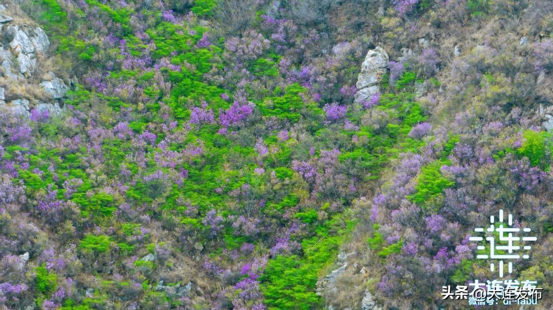 最新旅游景区发展,杭州大明山风景区五一攻略