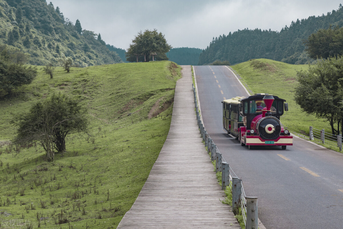 武隆仙女山两日游攻略自由行,武隆仙女山自由行攻略