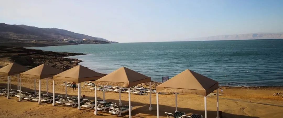 老万是谁直播间,老万是谁的孩子