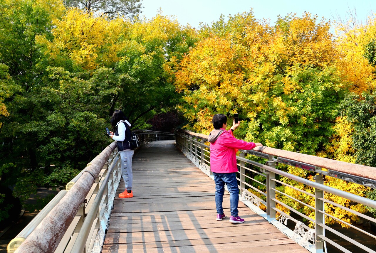 济南赏秋,秋天济南去哪里赏秋最好