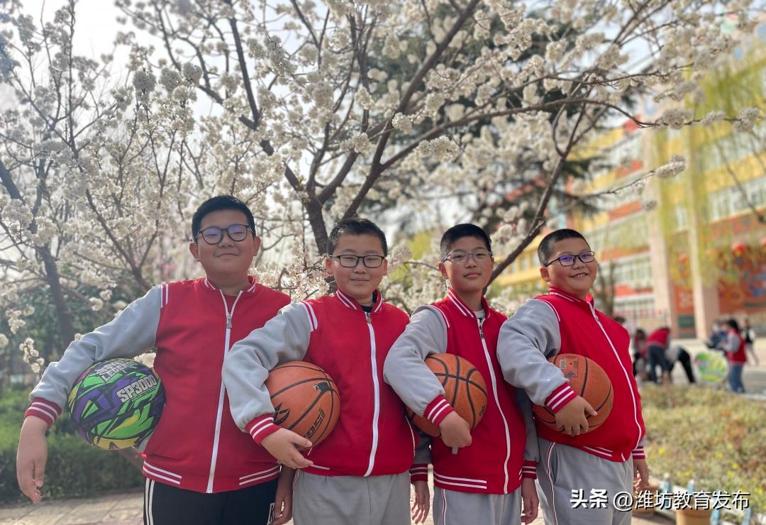 美！潍坊校园春景强势来袭