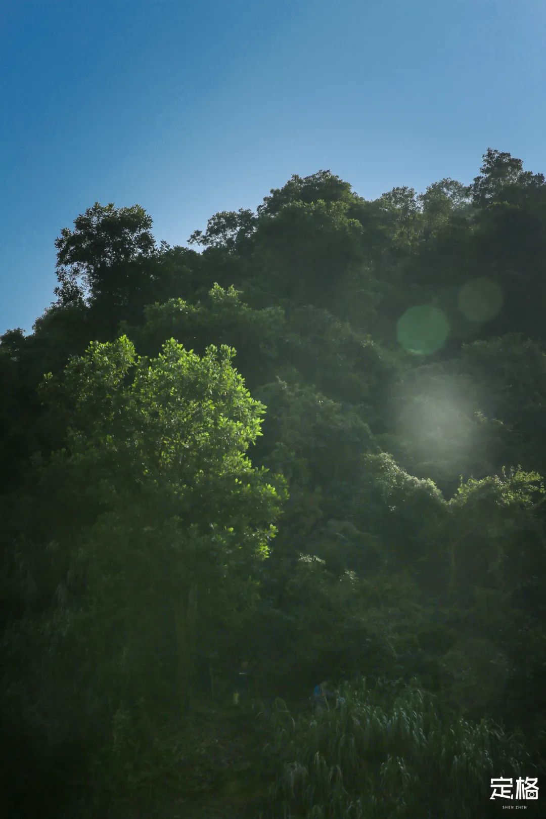 深圳10条入门登山线路推荐,深圳十大山峰最新登山攻略