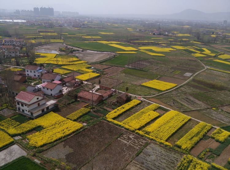 汉中最大三线厂汉江工具厂,汉中城固三线故事