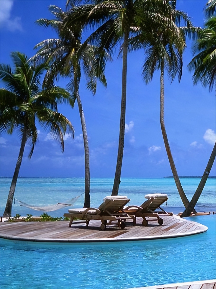 罗莱夏朵香缇,罗莱夏朵探店