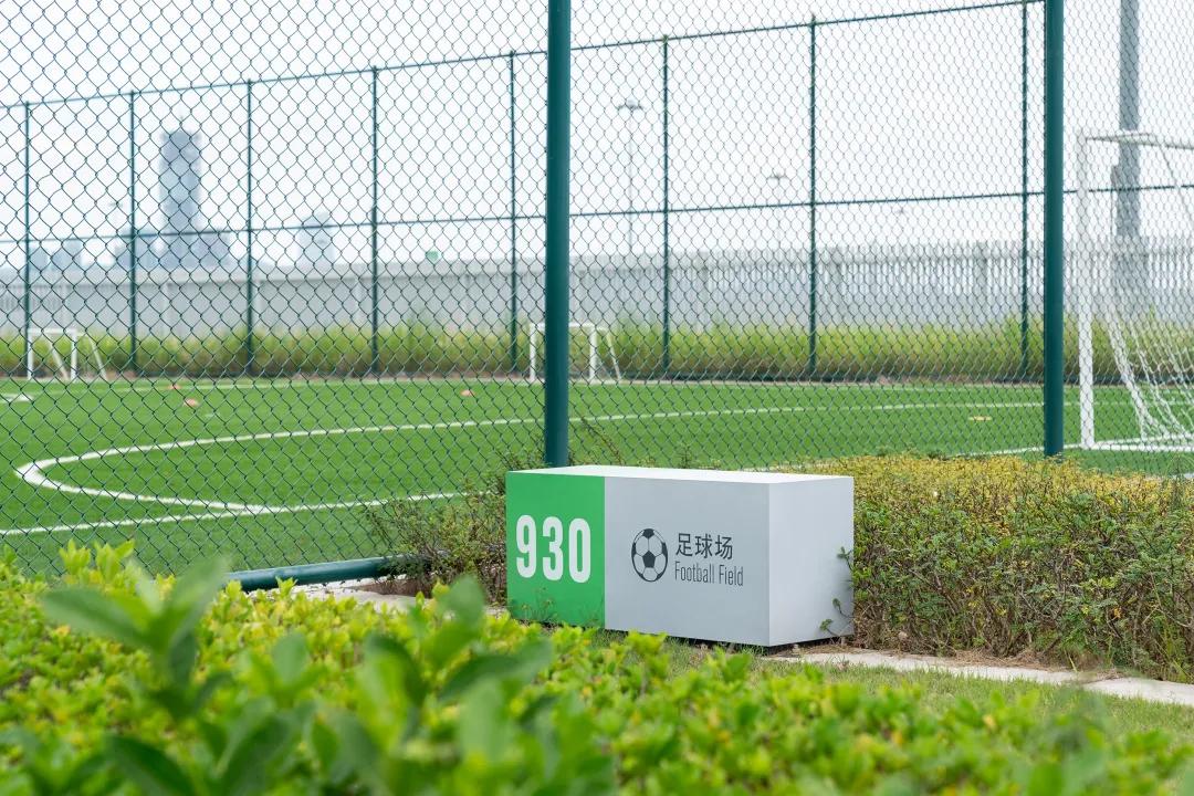 大湾区最大的“屋顶花园-将闲置屋顶变身深圳湾体育训练基地