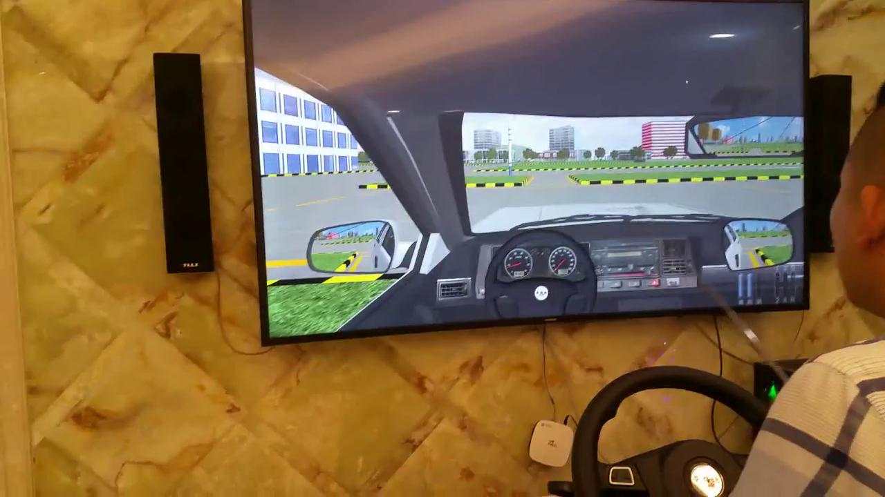 看不准后视镜下沿是否与边线对齐,后视镜与边线对齐车内视角