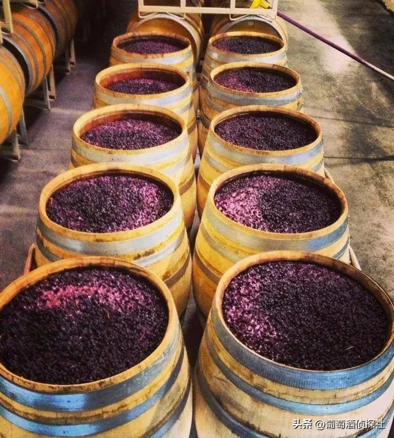 正宗葡萄酒酿造法,葡萄酒酿造步骤精简