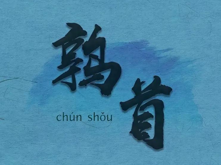 中国传统十二星座排名,中国的十二星座是什么样子的