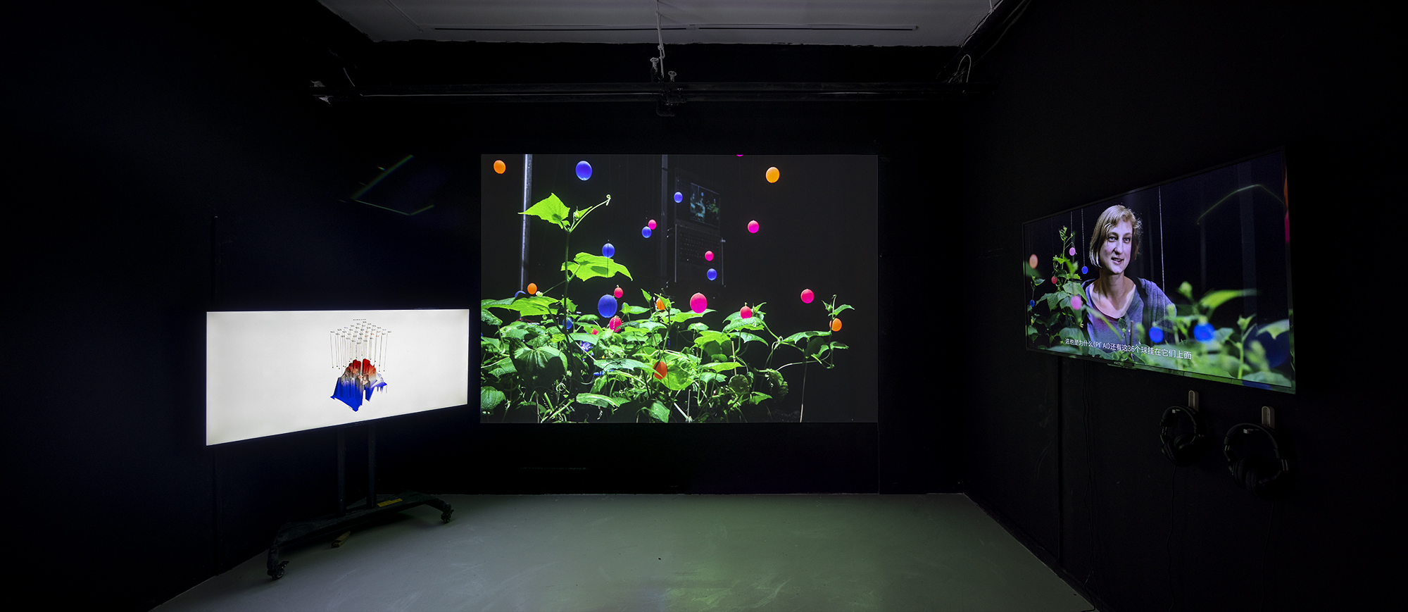 “共同的演化”——开启置身于AI时代的生命想象