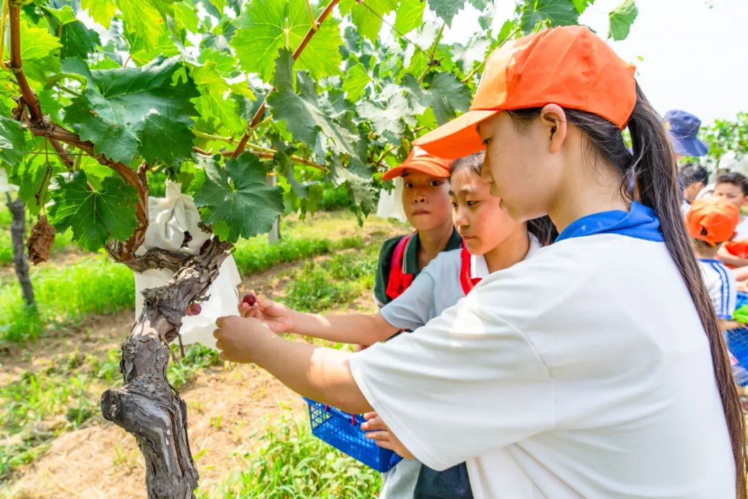 有颜值有内涵人居环境,有颜有格调有料有品质
