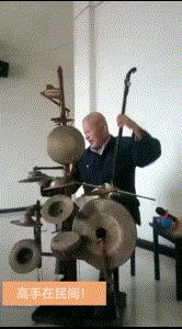 “是小蛇出了轨，还是青蛙劈了腿？”这是现实版的美杜莎？哈哈