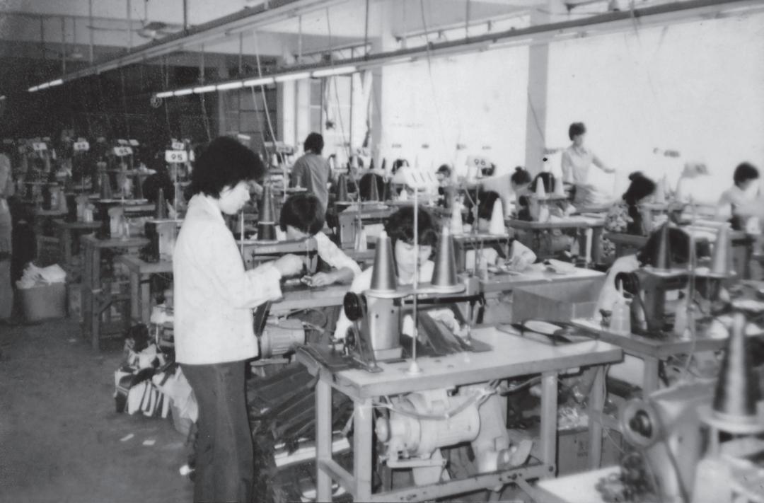 东莞市摄影家协会40周年庆典,摄影家协会成立筹备