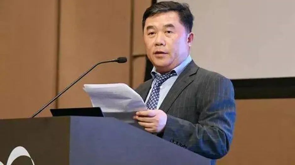 中国开发商贪污案例,中国反腐四大案