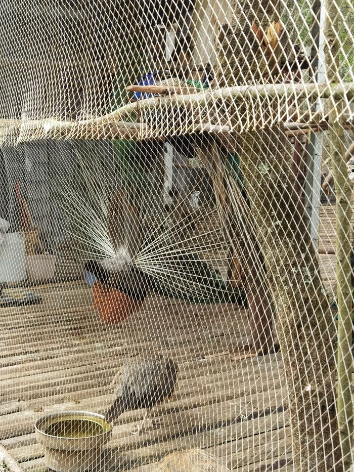 昆明青龙谷生态旅游,昆明市青龙峡风景区