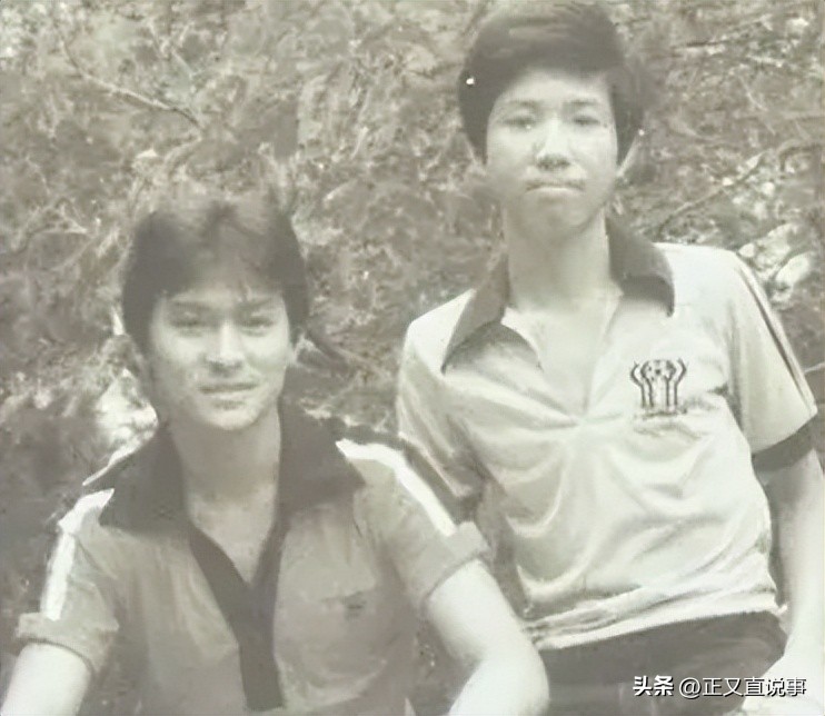 华表奖刘德华片段,华表奖刘德华的人气