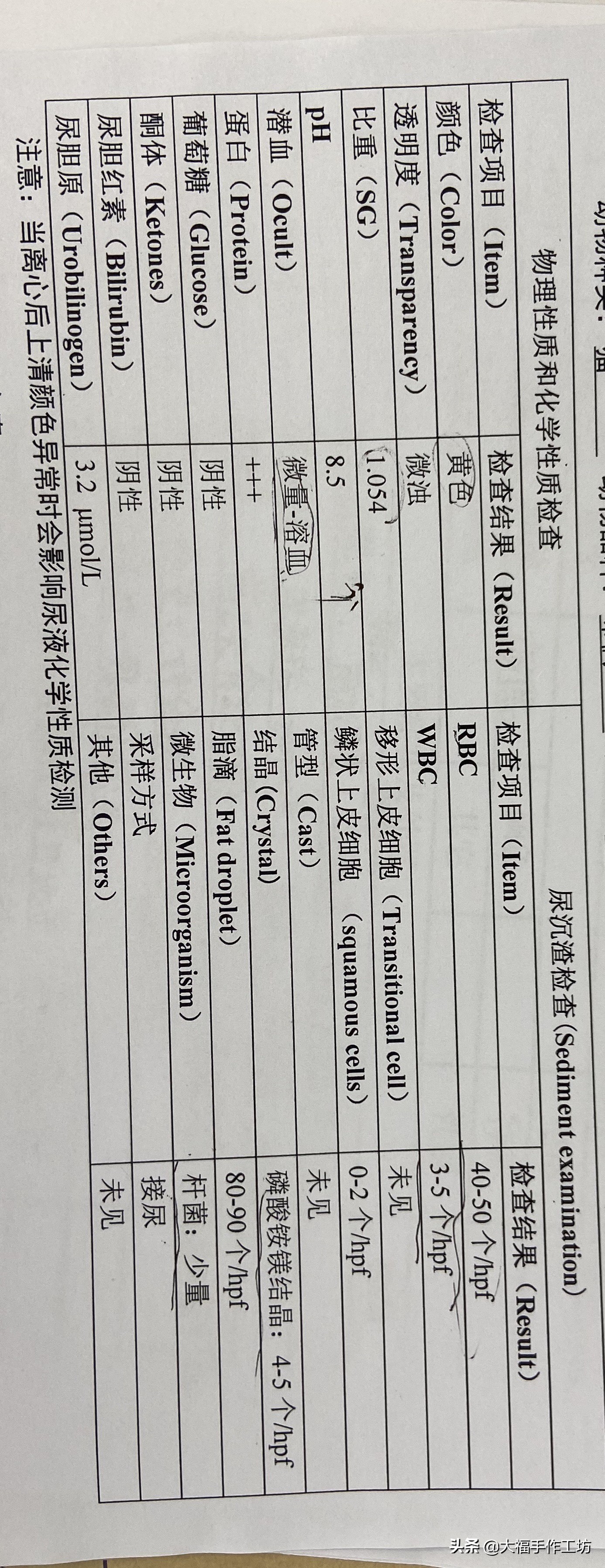 猫咪膀胱有结晶导致膀胱炎,猫膀胱结晶手术多少钱