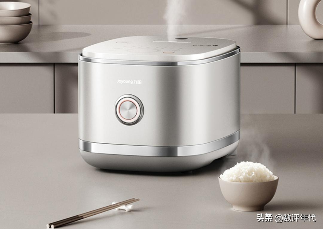 电饭煲哪一个小众品牌好,2022电饭煲十大品牌排行