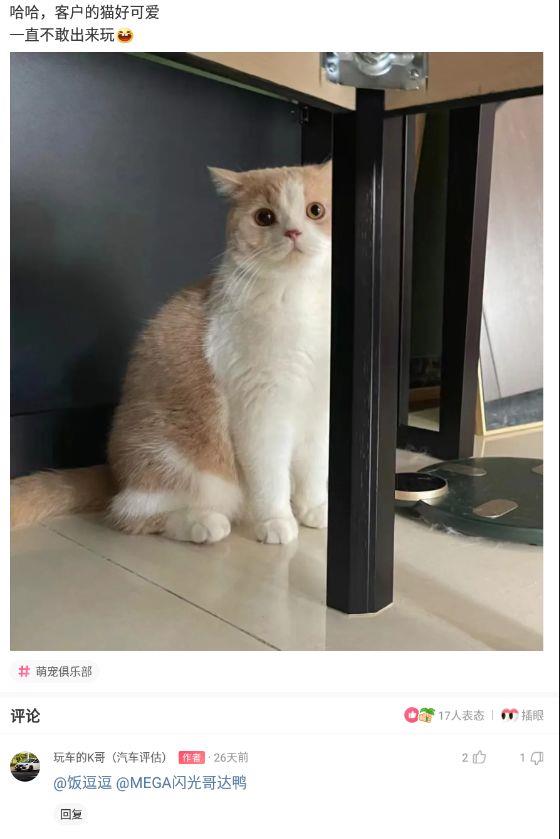 神回复:为什么近视的人睡觉不戴眼镜,那他们晚上做梦能看得清吗