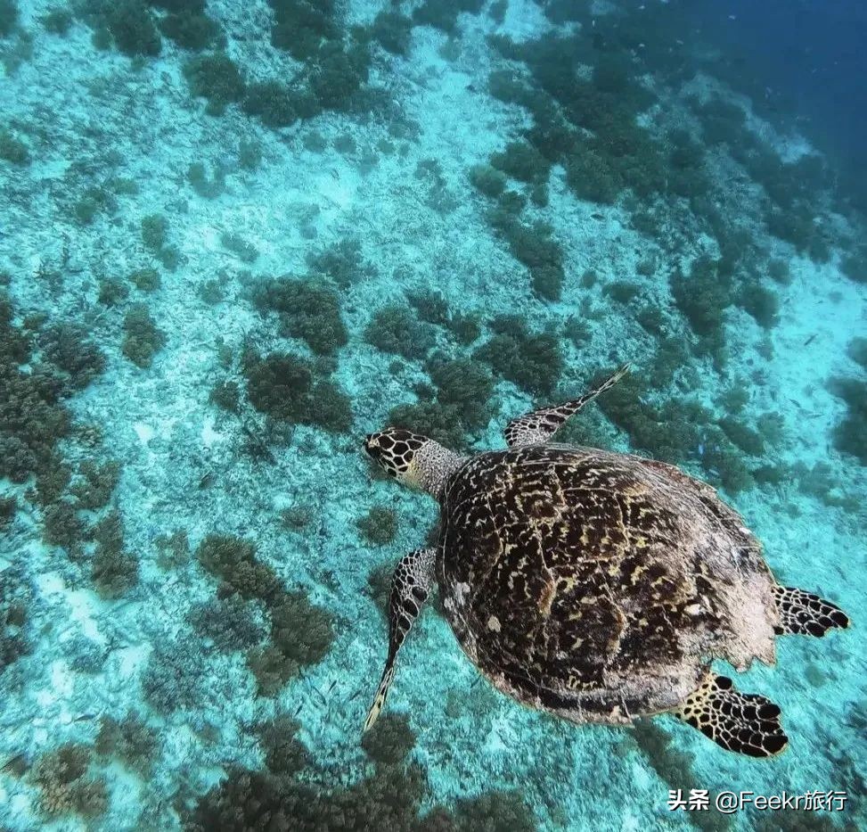 巴厘岛现在能落地签吗,中国对印尼开放落地签不