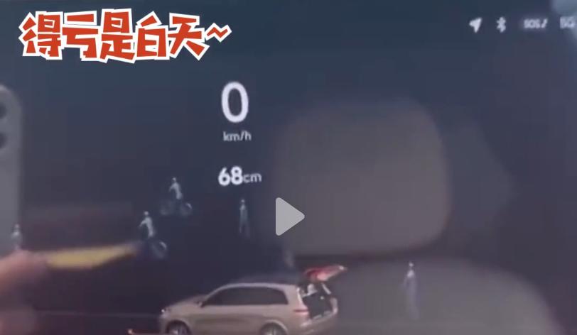 雷达陵墓显示人影,陵园内雷达显示人影真相