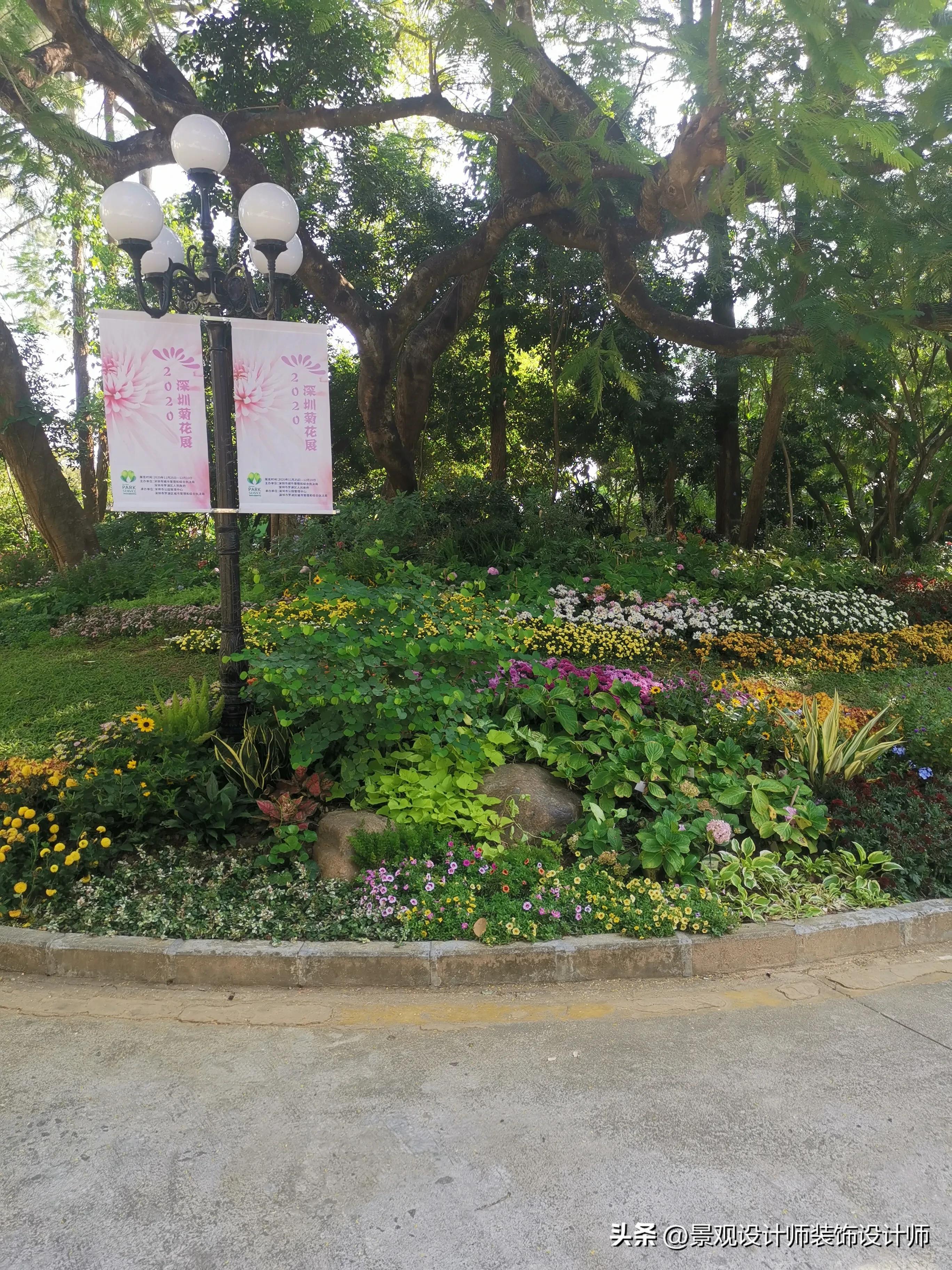 深圳市东湖公园广场舞,深圳市东湖公园收费标准