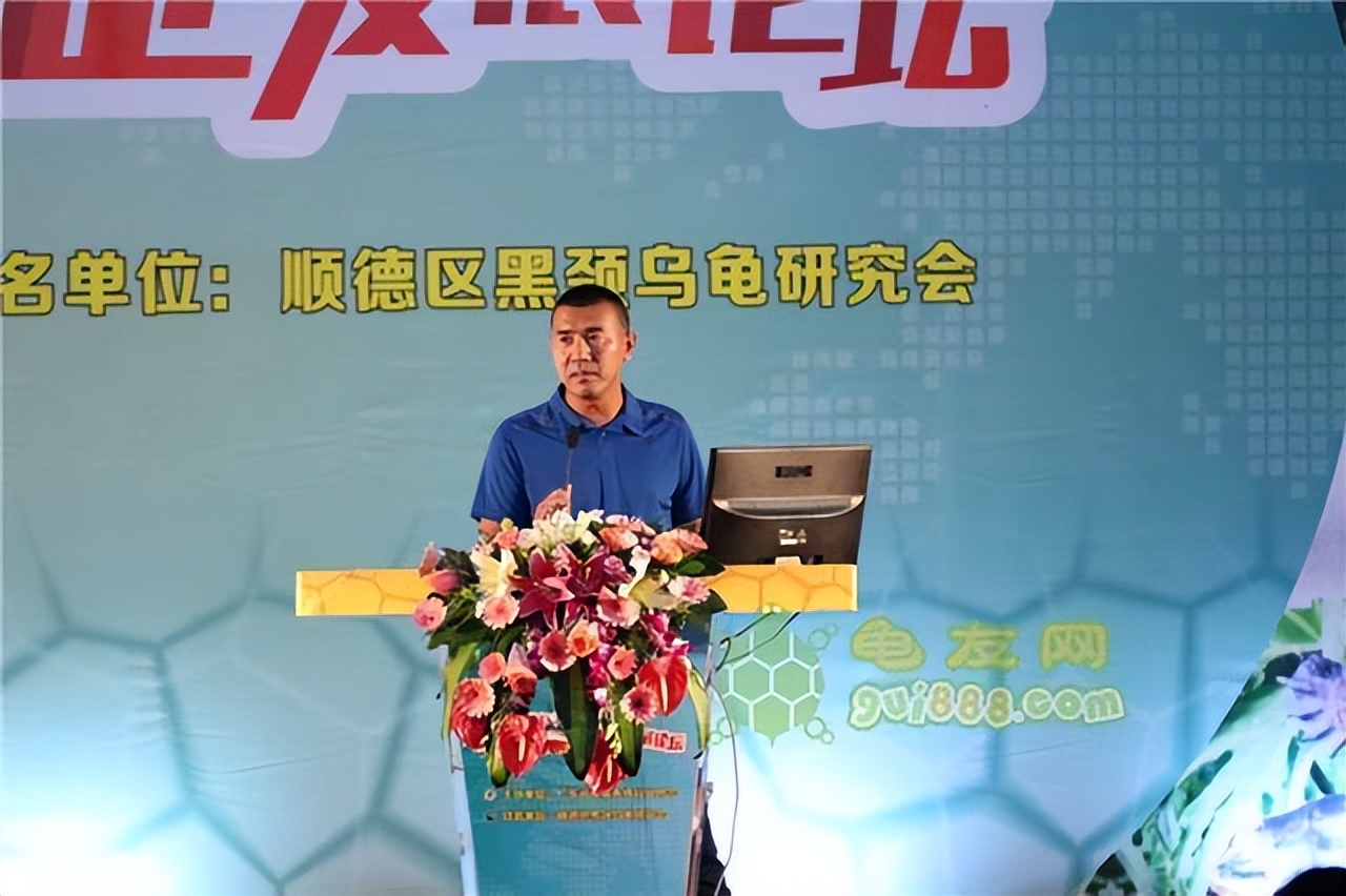 小伙靠养龟年度百万,男子靠三只病龟赚了6000万