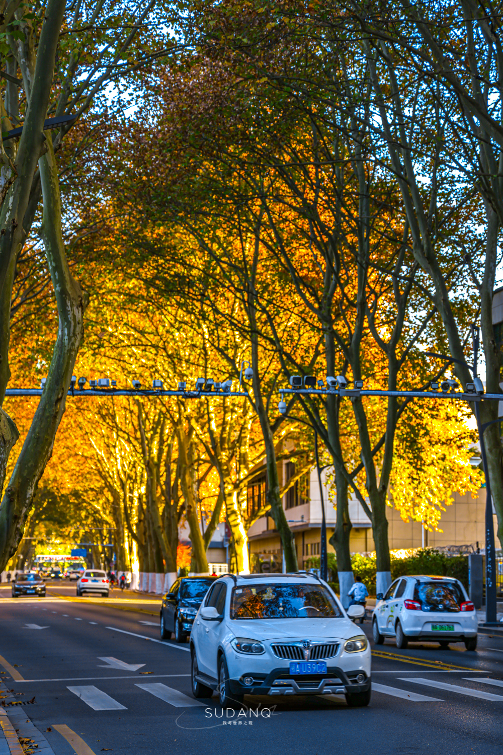 大自然塑造了我,大自然塑造者