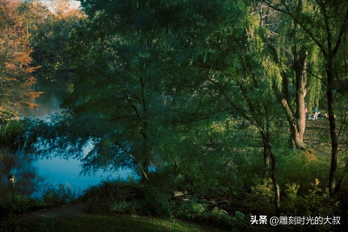 ai摄影师获奖,ai和摄影结合的摄影师