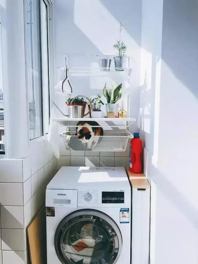 什么才是最佳的家装设计方案,关于家装设计的20个建议