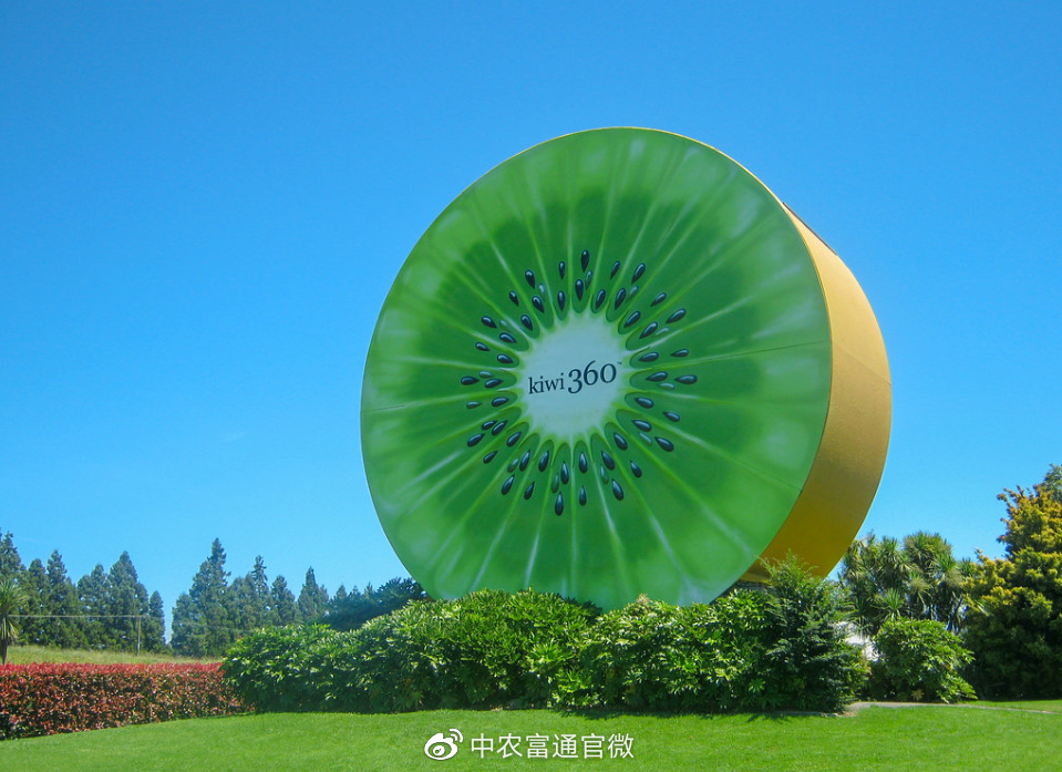 农旅融合，这个奇异果小镇有什么秘诀？