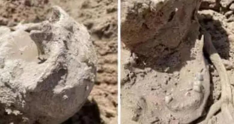 村民喝水异味发现水池有死猴尸体,楼顶蓄水池藏尸案