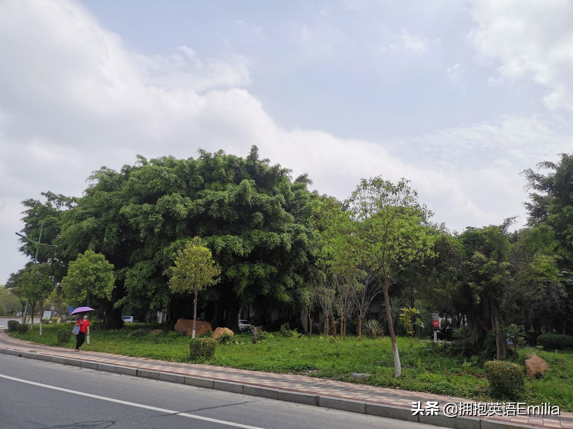 高中英语必修1第1单元单词朗读,人教高一英语必修一第一单词朗读