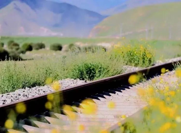 阿拉沟兵工厂生产的产品,阿拉沟的历史