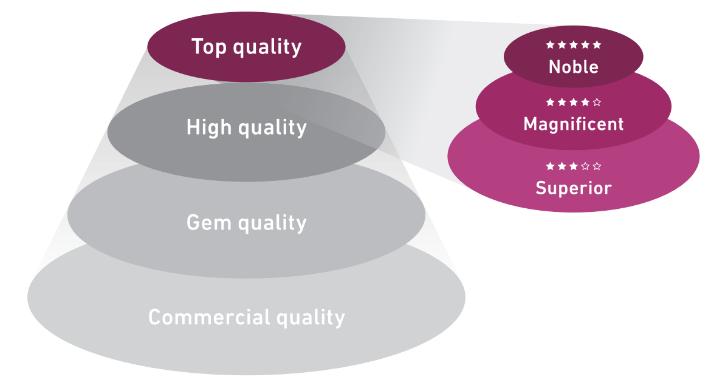 珍珠guild证书怎么看,大溪地黑珍珠鉴定证书
