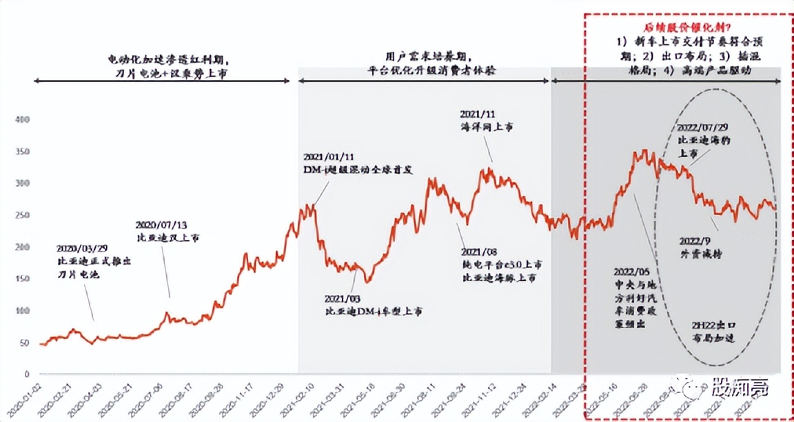 新能源汽车投资指南,比亚迪新能源汽车投资效率怎么写