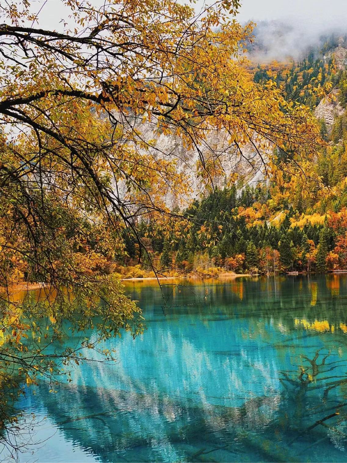 九寨沟童话仙境四日游,九寨沟童话路