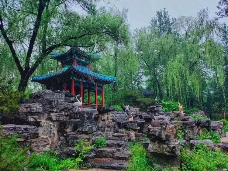 【FENG娱】王佐镇:娱乐+科普+自然,暑假解锁亲子出游新方式!