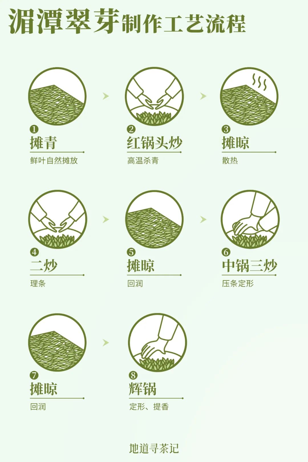 中国茶业历史悠久各种各样的茶叶,中国产茶的四大茶区