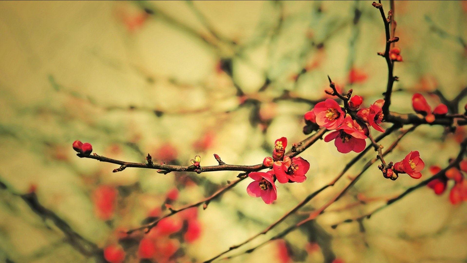 现代最美卜算子情诗,唐诗宋词经典50首卜算子